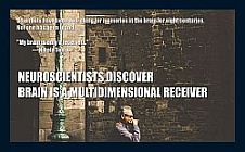 Consciousness-creates-forms-the-brain-1s-140