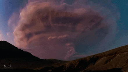 The mind is an electrical storm of consciousness