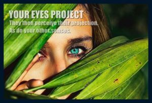 The eyes project. The mind creates reality