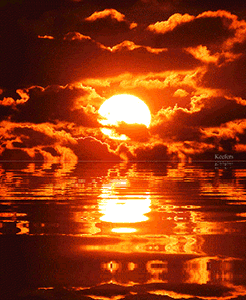 how-do-i-create-manifest-my-reality-life-1d-246