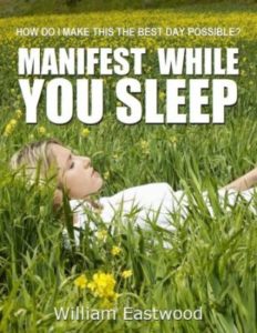 Manifest while you sleep book ebook