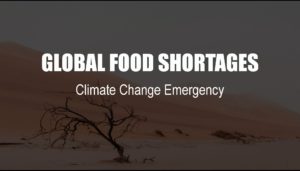 Will food shortages and prices get worse? If there is not enough food, what can I do? Find out here