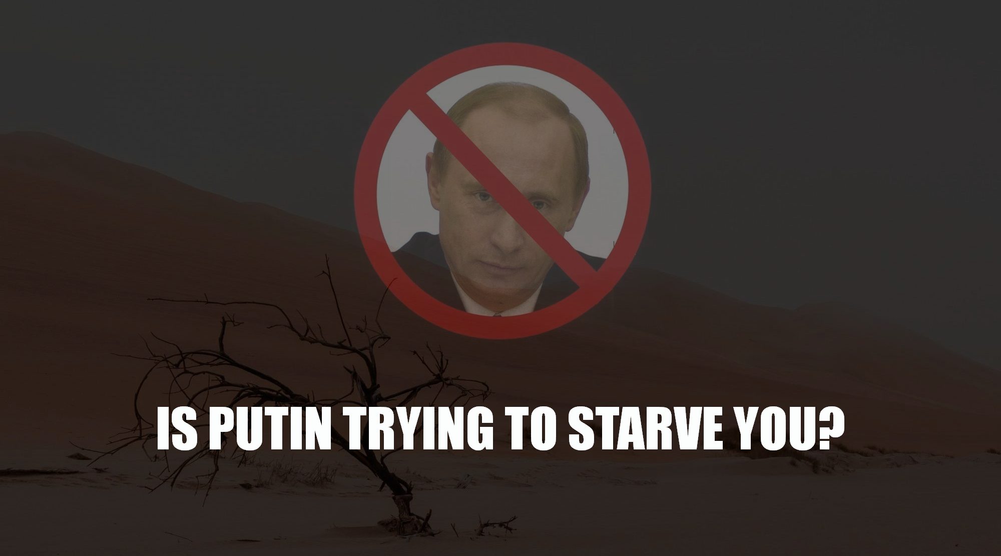 is-putin-trying-to-starve-the-western-world-u-s-europe-global-food-supply-threatened