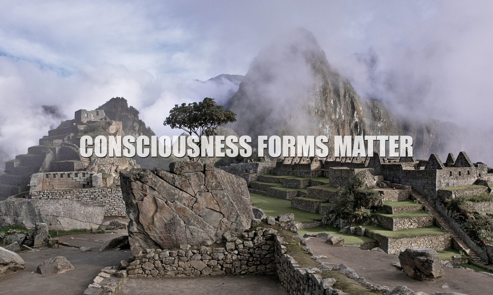 DOES CONSCIOUSNESS FORMS MATTER Mind Forms Reality