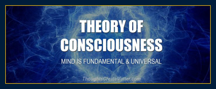 Theory of consciousness