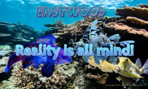 Does the Mind Create Reality? Theory, Books, Examples & Philosophy