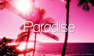 Mind Forms Matter paradise test community