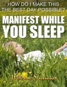 How Do I Make This the Best Day Possible book cover
